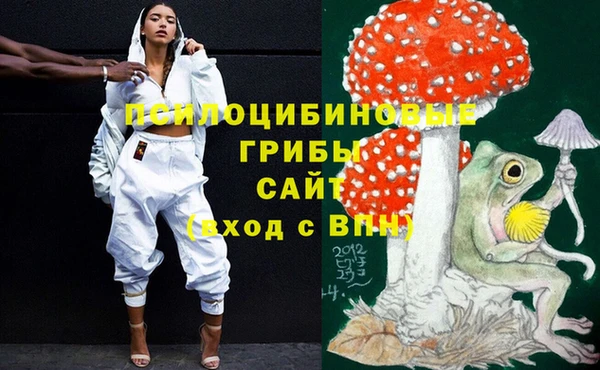 гидропоника Балабаново